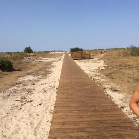 Windrose הורומרזיל